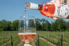 An Evening at the Vineyard ~ November 4th